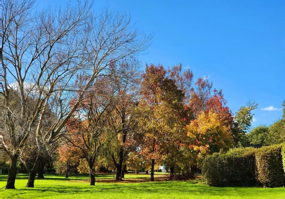 Briars Country Lodge Bowral Exteriér fotografie
